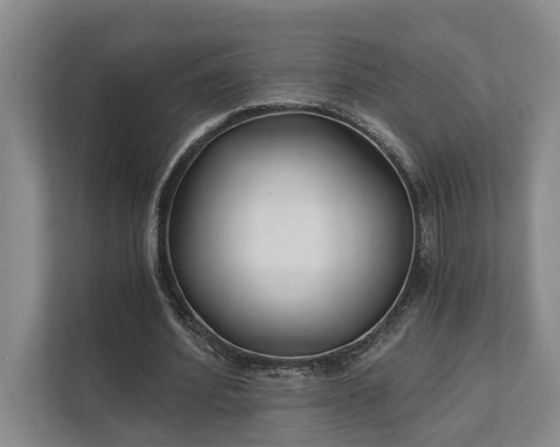X0000111510580200907211205