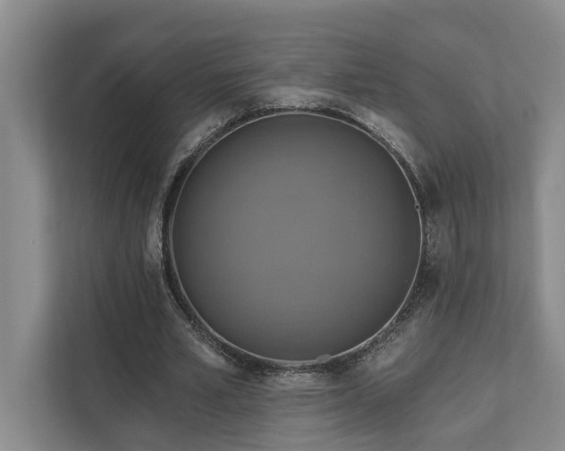 X0000111510581200907211205