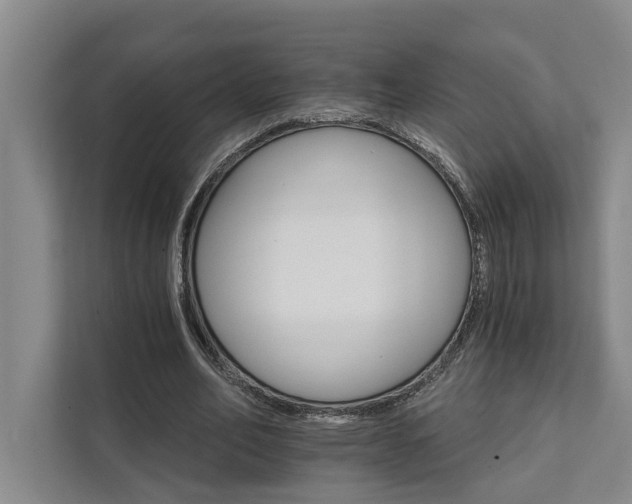 X0000111510582200907211205
