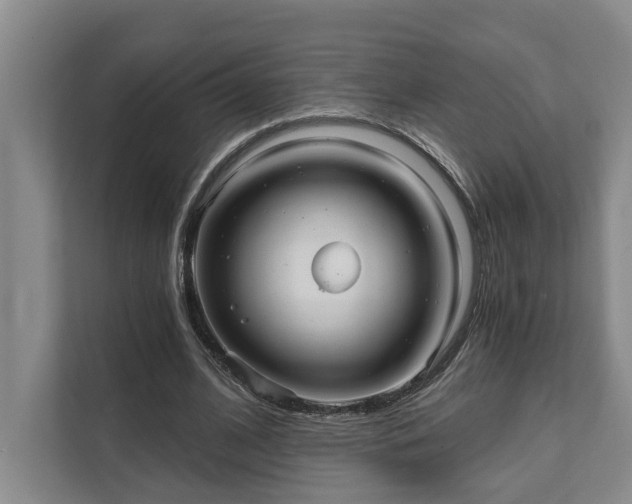 X0000111510584200907211205