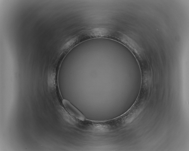 X0000111510585200907211205
