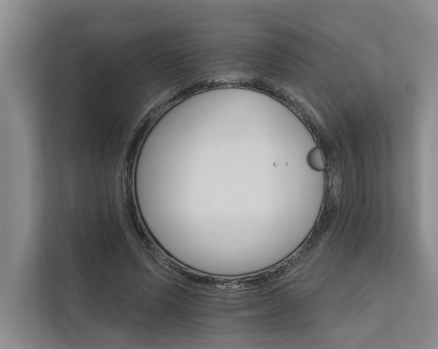 X0000111510591200907211205
