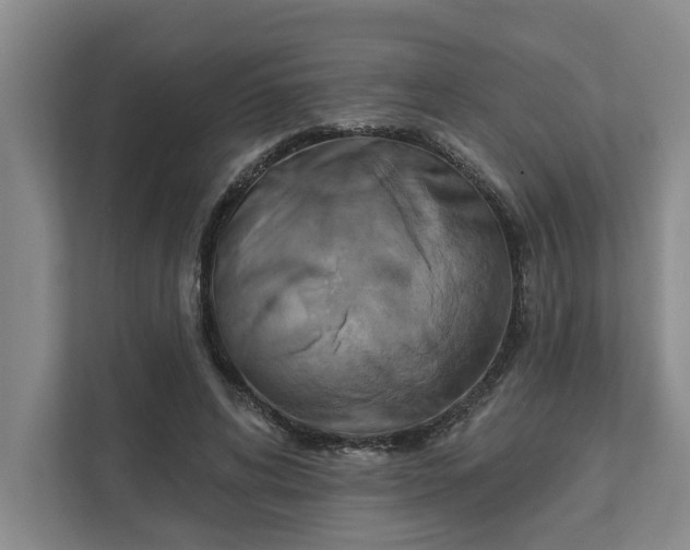 X0000111510592200907211205
