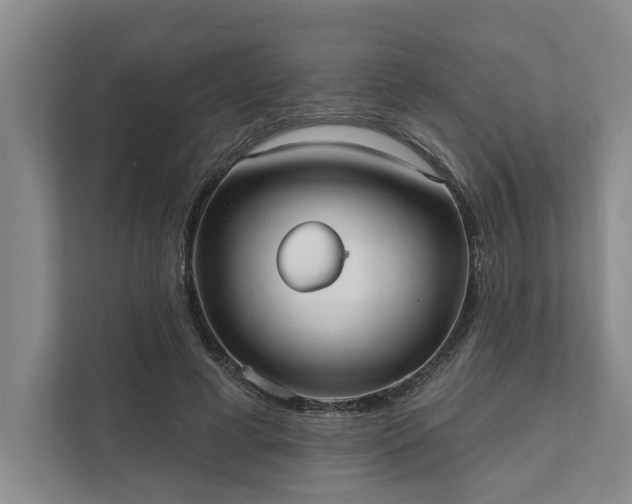 X0000111510593200907211205