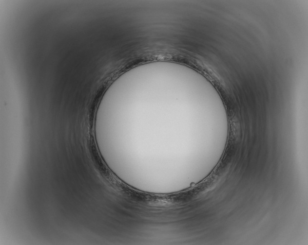 X0000111510594200907211205