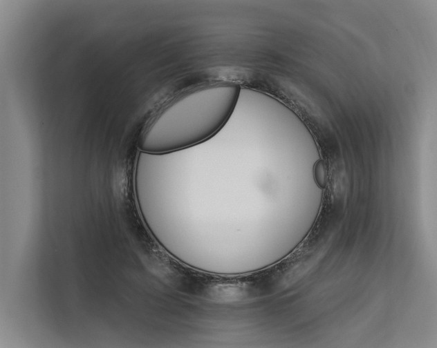 X0000111510595200907211205
