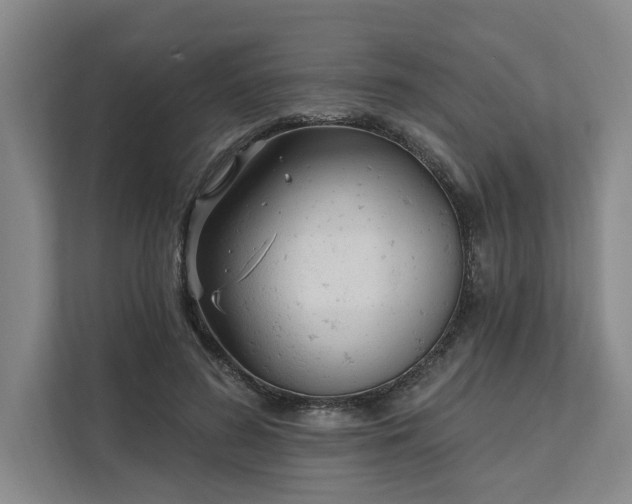 X0000111510596200907211205