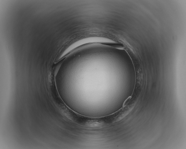 X0000111510597200907211205