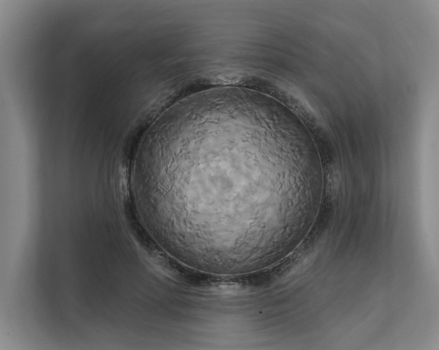 X0000111510598200907211205
