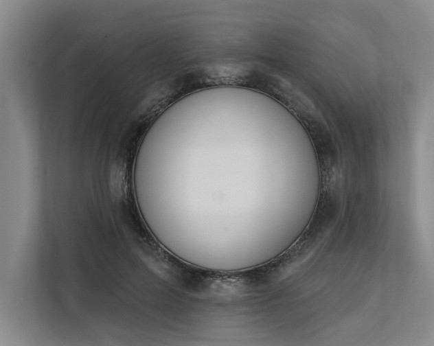 X0000111510599200907211205