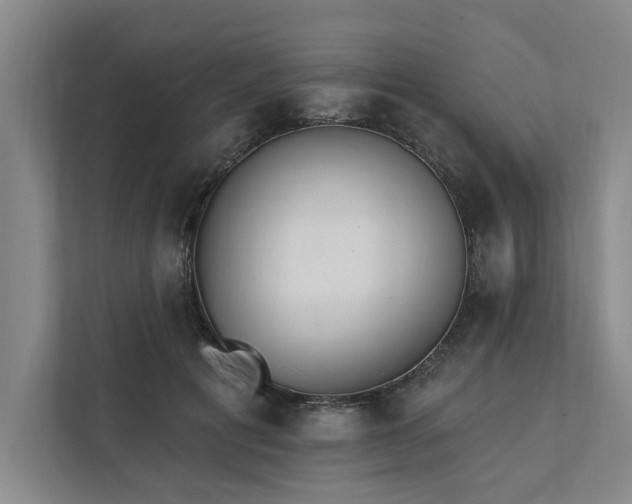 X0000111510601200907211205