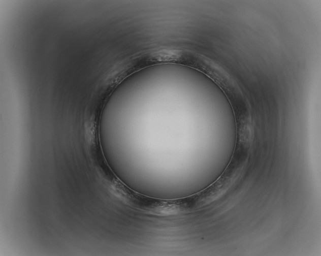 X0000111510604200907211205