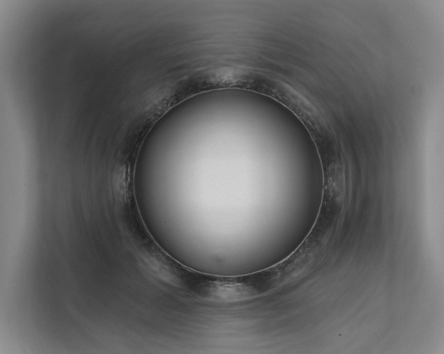 X0000111510605200907211205
