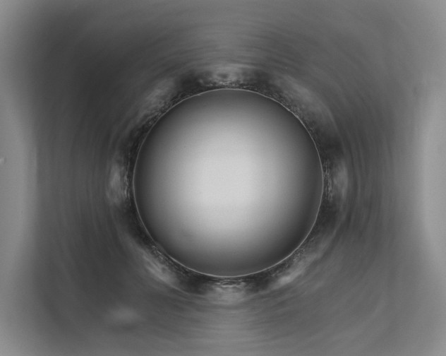 X0000111510606200907211205