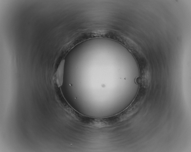 X0000111510608200907211205