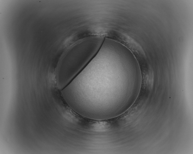 X0000111510609200907211205