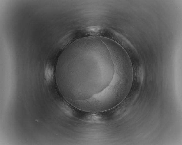 X0000111510610200907211205