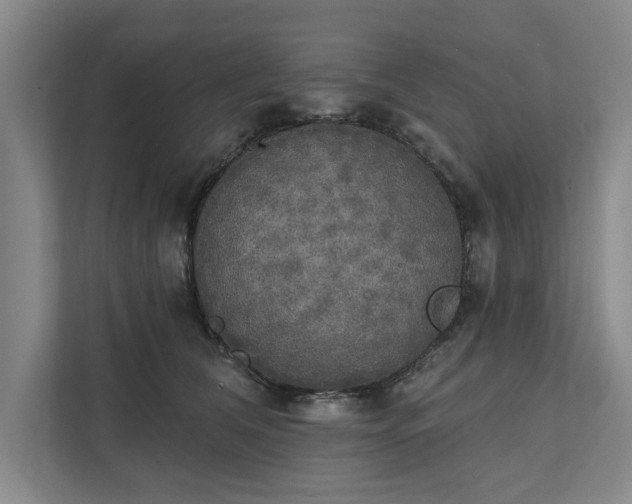 X0000111510612200907211205