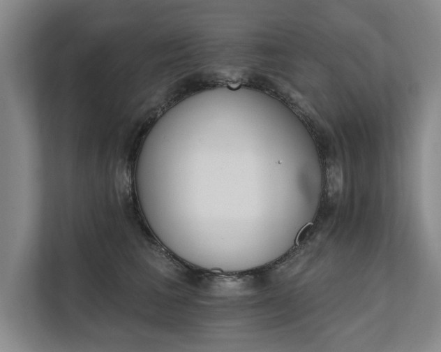 X0000111510613200907211205
