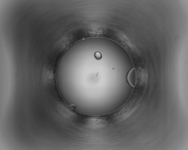 X0000111510614200907211205