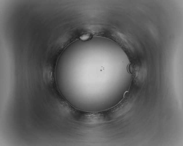 X0000111510615200907211205