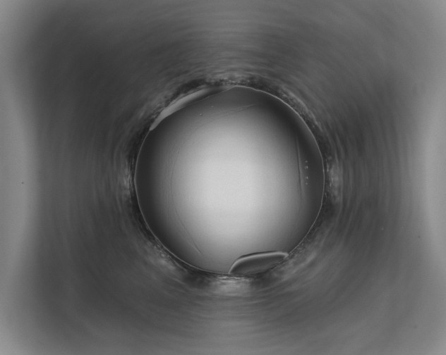 X0000111510617200907211205