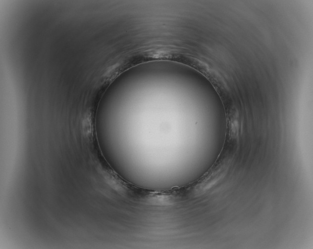 X0000111510620200907211205