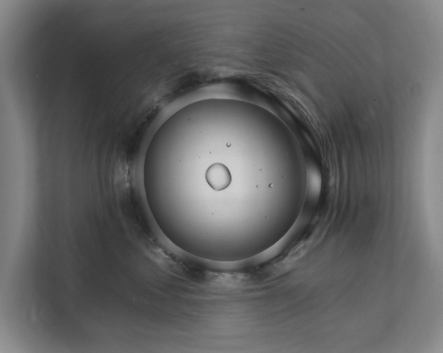 X0000111510621200907211205