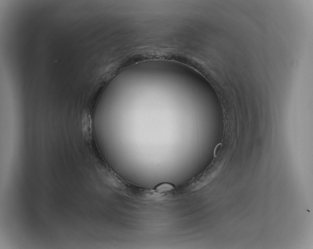 X0000111510624200907211205