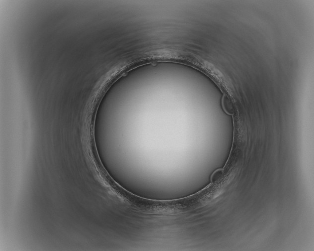 X0000111510625200907211204