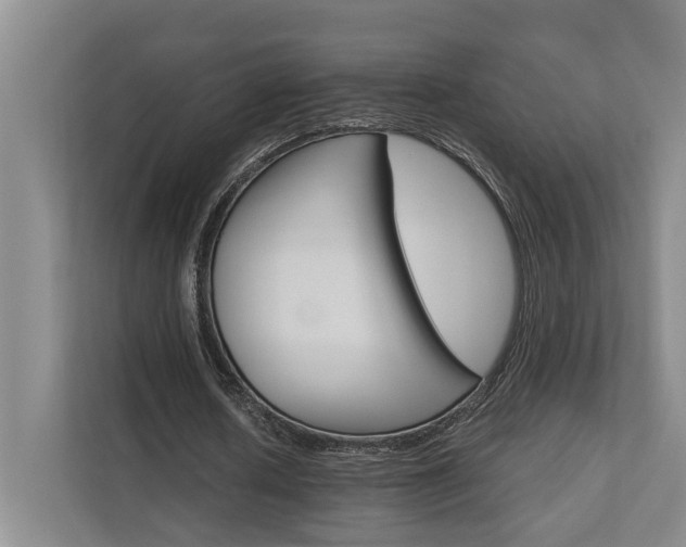 X0000111510626200907211204