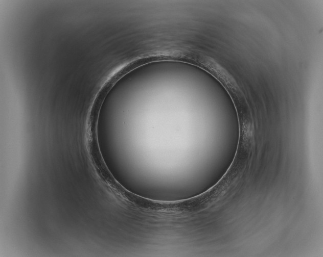 X0000111510628200907211204