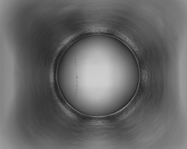 X0000111510629200907211204