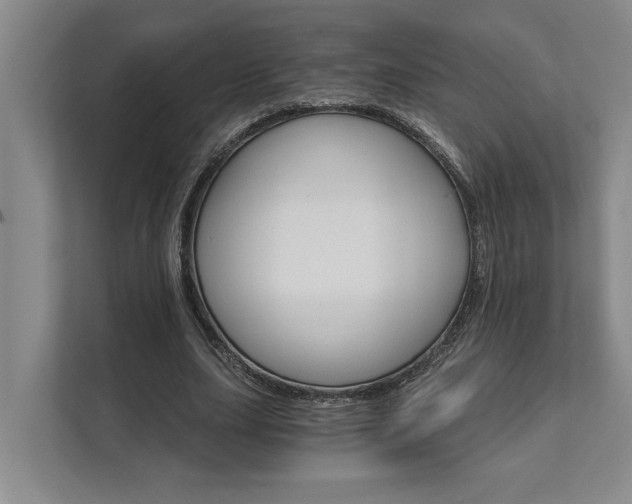 X0000111510631200907211204