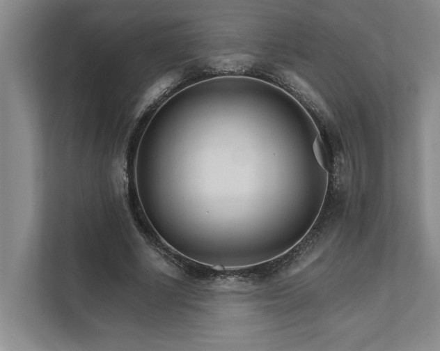 X0000111510634200907211204
