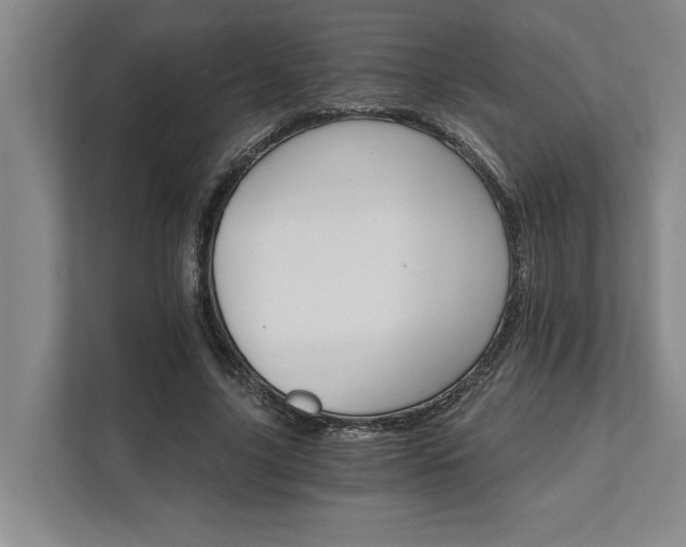 X0000111510635200907211204