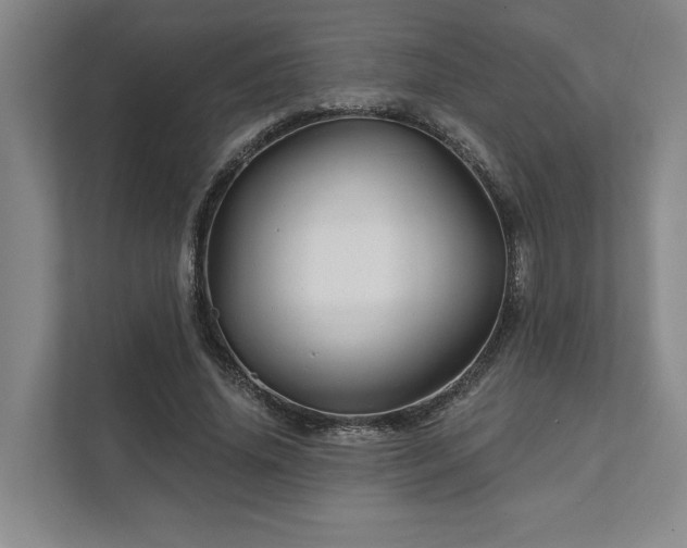 X0000111510636200907211204