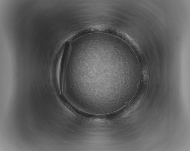 X0000111510637200907211204