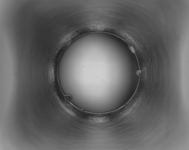X0000111510638200907211204