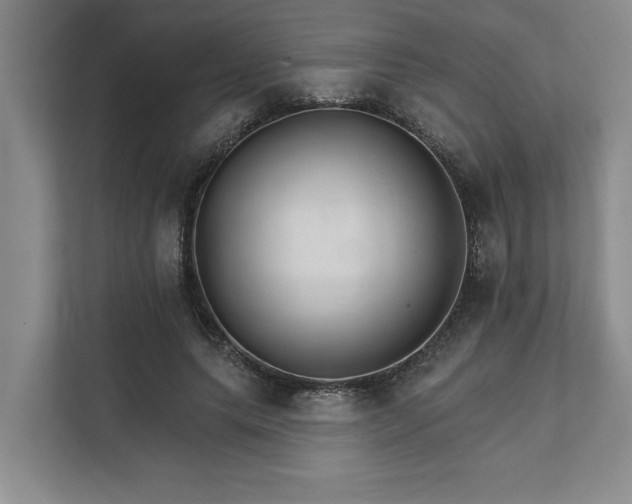 X0000111510639200907211204