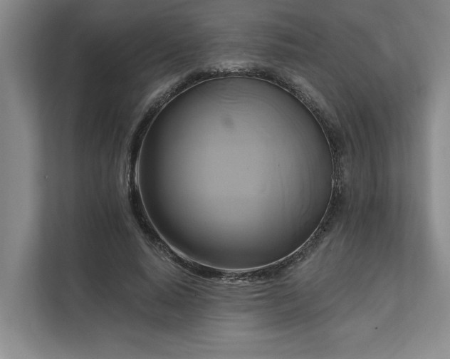X0000111510640200907211204
