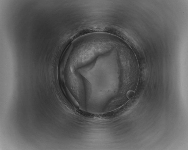 X0000111510641200907211204