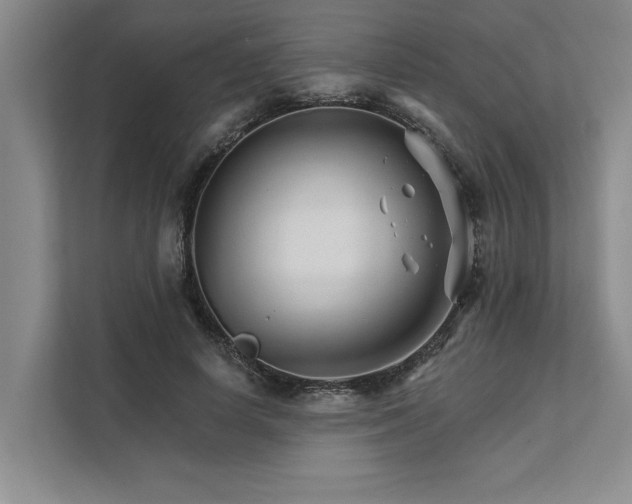 X0000111510642200907211204
