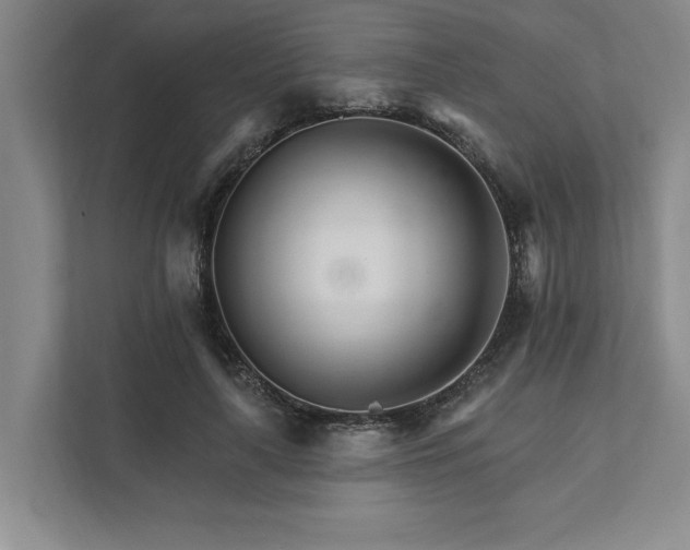X0000111510643200907211204