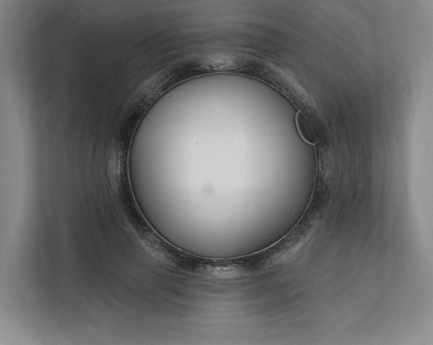 X0000111510645200907211204