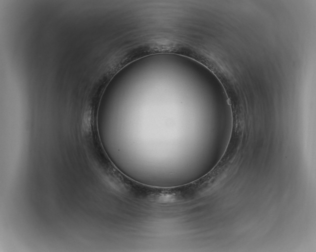 X0000111510647200907211204