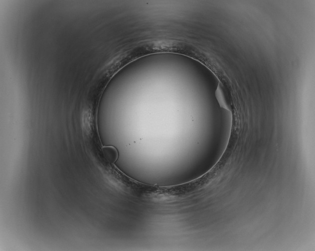 X0000111510648200907211204