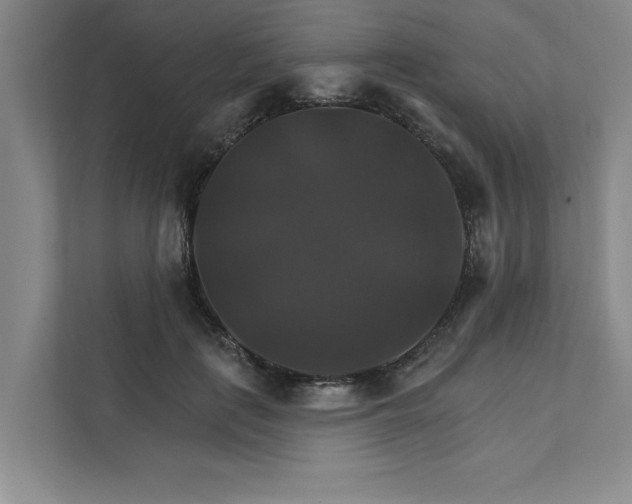 X0000111510651200907211204