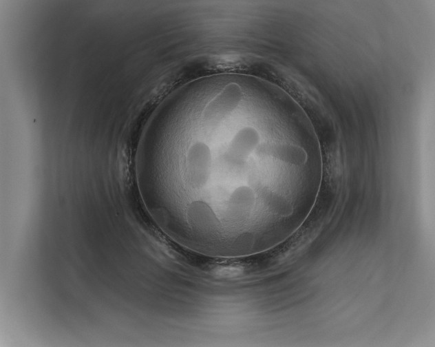 X0000111510653200907211204