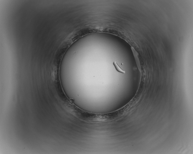 X0000111510656200907211204